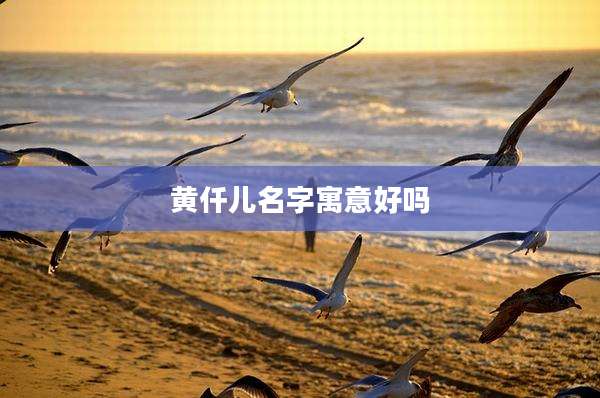 黄仟儿名字寓意好吗