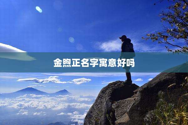 金煦正名字寓意好吗