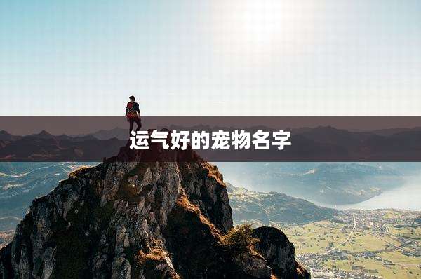 运气好的宠物名字