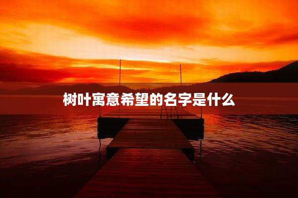 树叶寓意希望的名字是什么