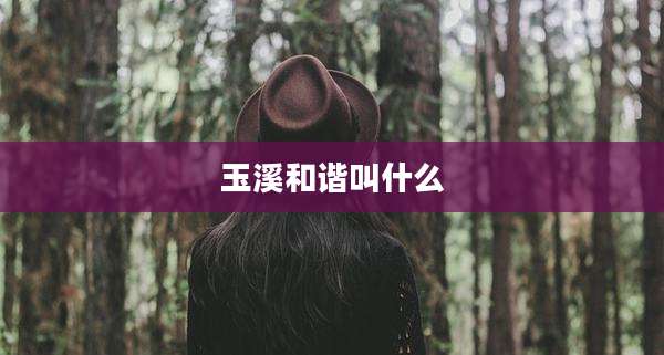 玉溪和谐叫什么