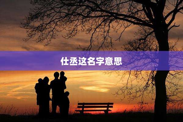 仕丞这名字意思