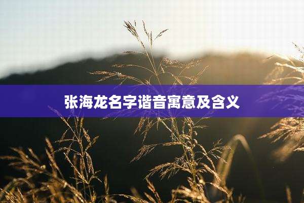 张海龙名字谐音寓意及含义