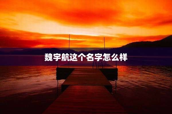 魏宇航这个名字怎么样