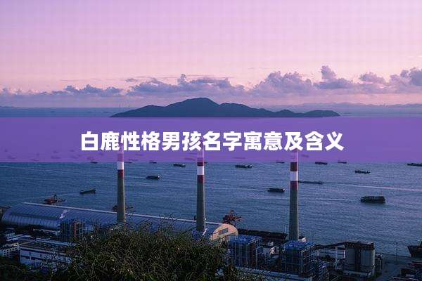 白鹿性格男孩名字寓意及含义