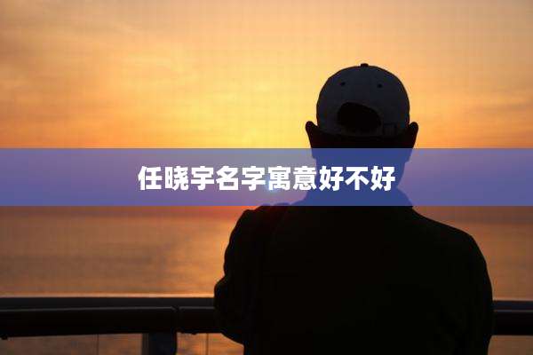 任晓宇名字寓意好不好