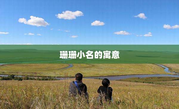 珊珊小名的寓意