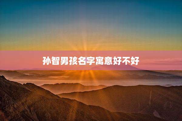 孙智男孩名字寓意好不好