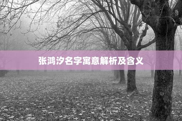 张鸿汐名字寓意解析及含义
