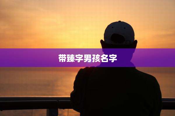 带臻字男孩名字