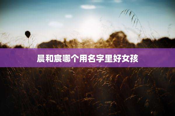 晨和宸哪个用名字里好女孩
