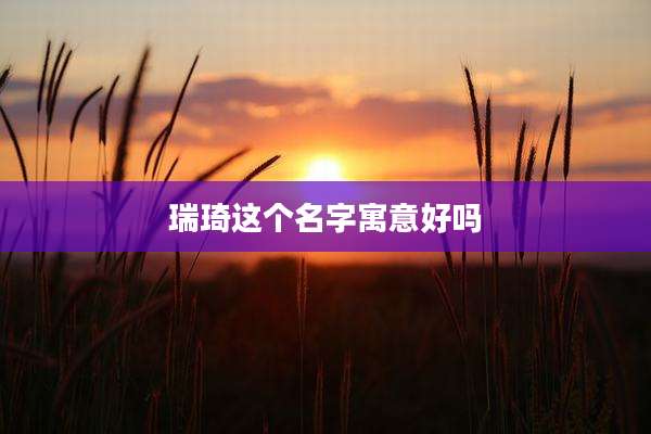 瑞琦这个名字寓意好吗
