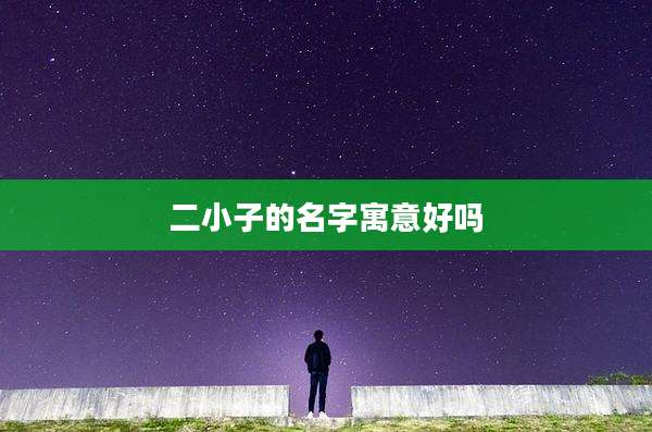 二小子的名字寓意好吗