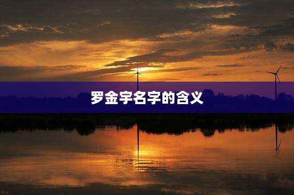 罗金宇名字的含义