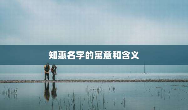 知惠名字的寓意和含义