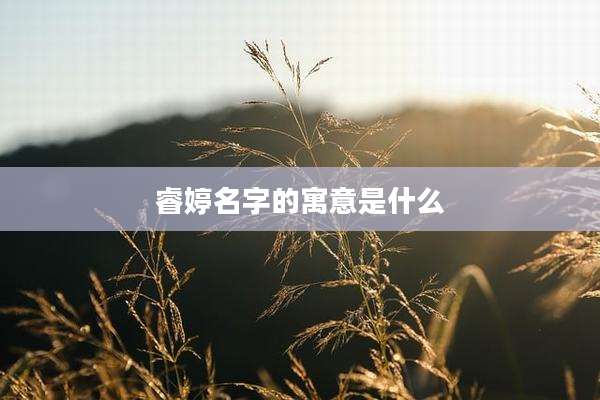 睿婷名字的寓意是什么