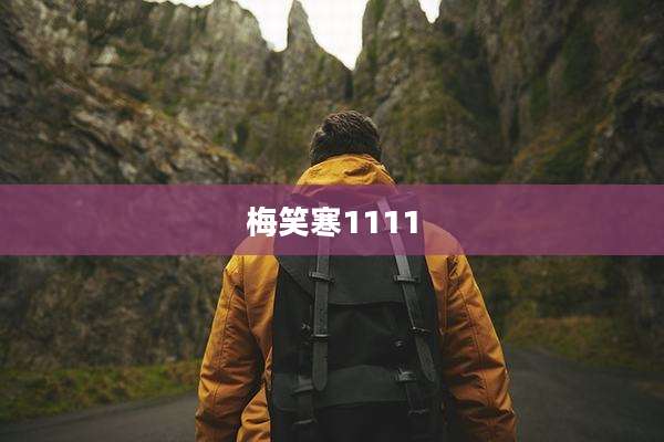 梅笑寒1111