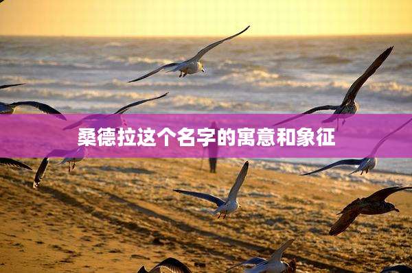 桑德拉这个名字的寓意和象征