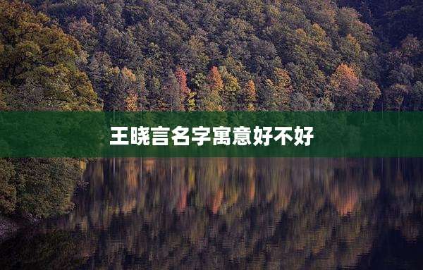 王晓言名字寓意好不好