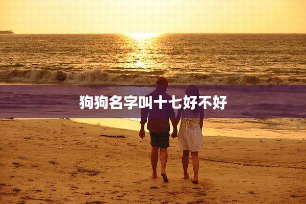 狗狗名字叫十七好不好