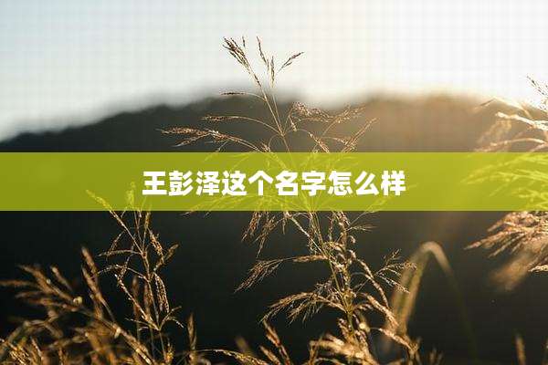 王彭泽这个名字怎么样