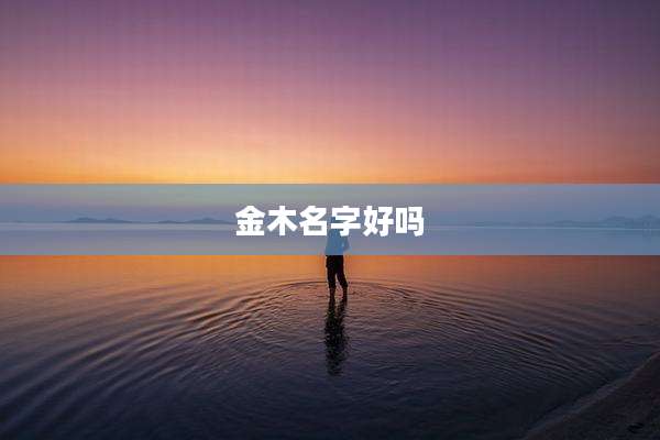 金木名字好吗