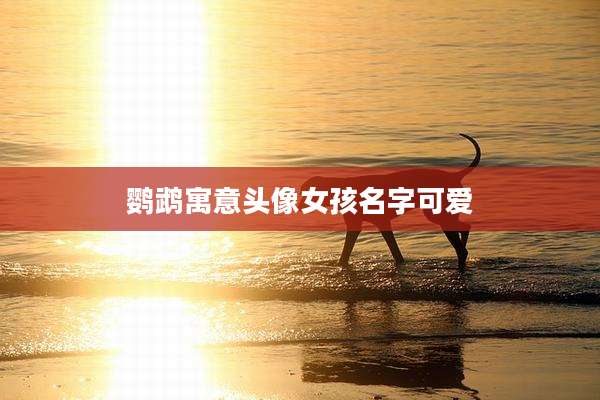 鹦鹉寓意头像女孩名字可爱