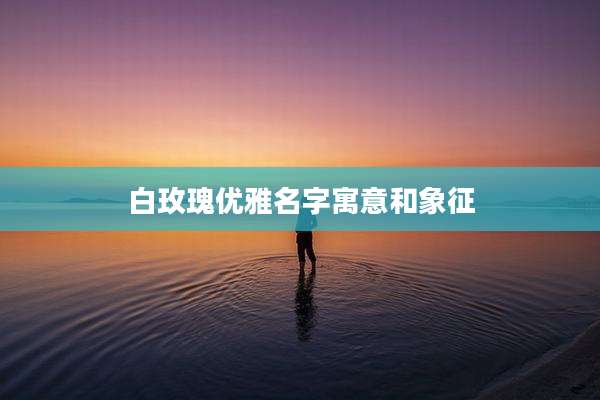 白玫瑰优雅名字寓意和象征