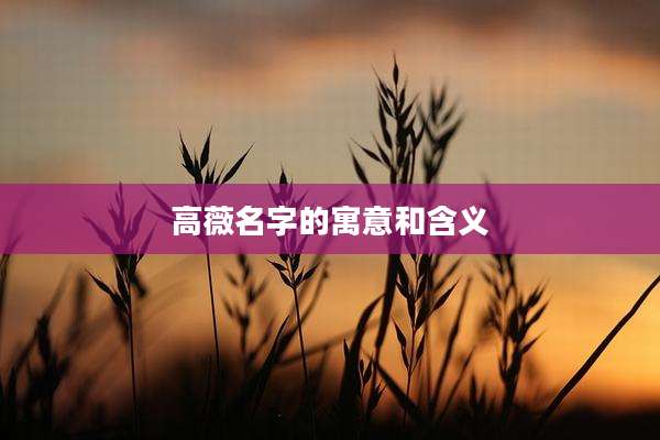高薇名字的寓意和含义