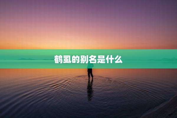 鹤虱的别名是什么