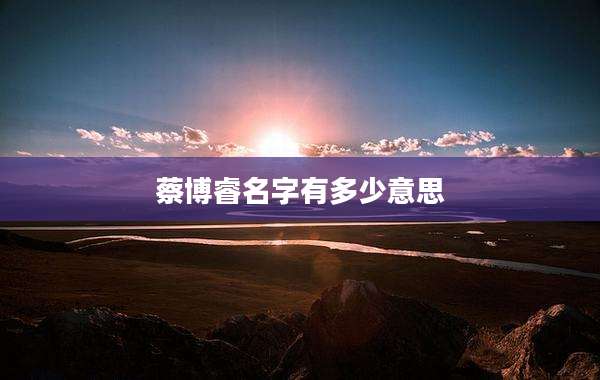 蔡博睿名字有多少意思