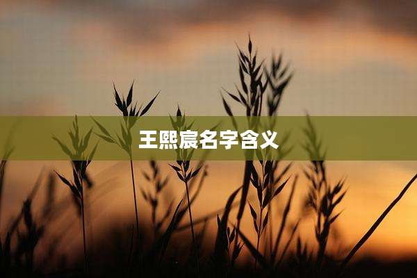 王熙宸名字含义