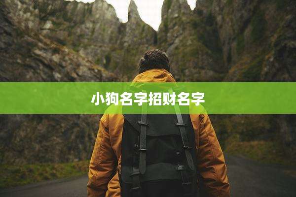 小狗名字招财名字