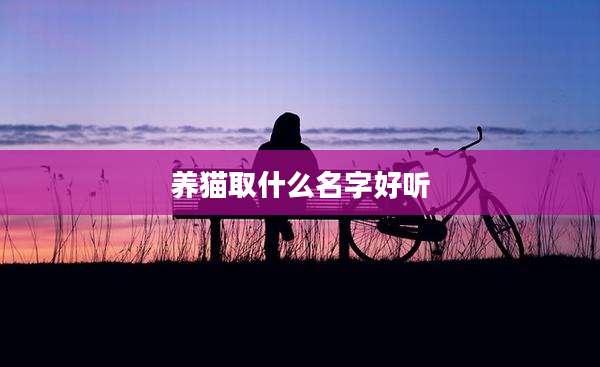 养猫取什么名字好听