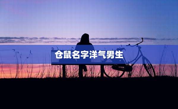 仓鼠名字洋气男生