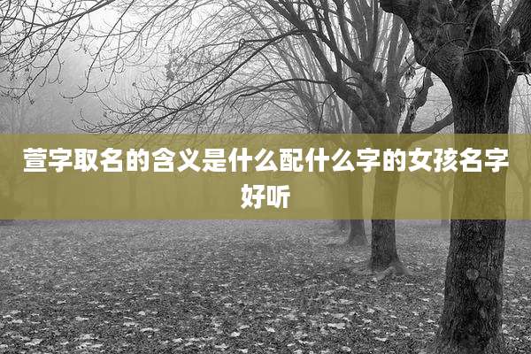 萱字取名的含义是什么配什么字的女孩名字好听