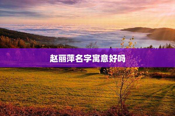 赵丽萍名字寓意好吗