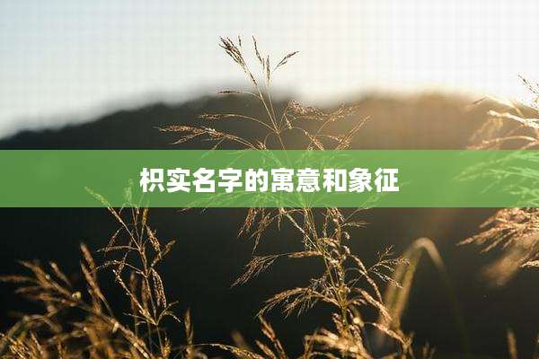 枳实名字的寓意和象征