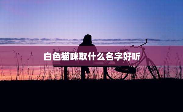白***咪取什么名字好听