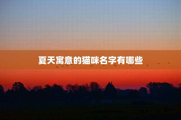 夏天寓意的猫咪名字有哪些