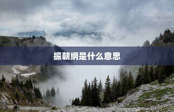 振朝纲是什么意思