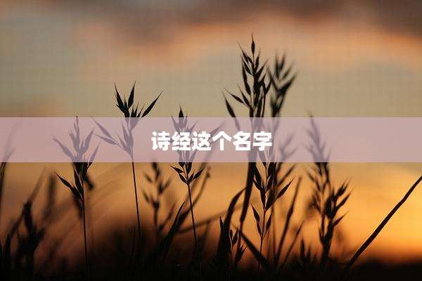 诗经这个名字
