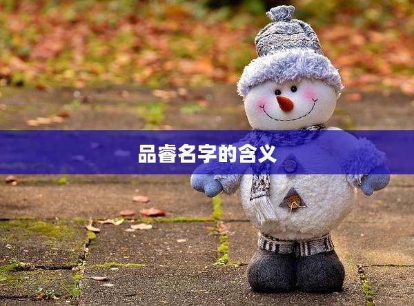 品睿名字的含义