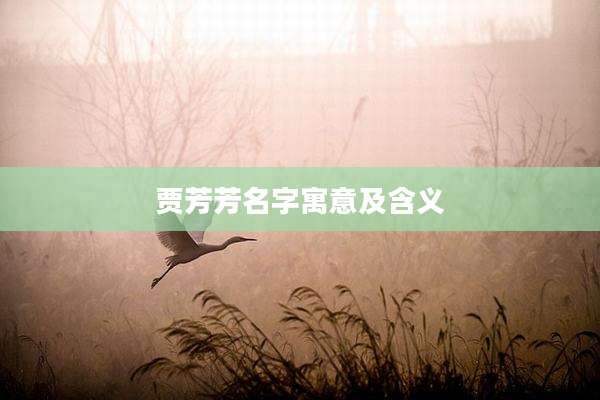 贾芳芳名字寓意及含义