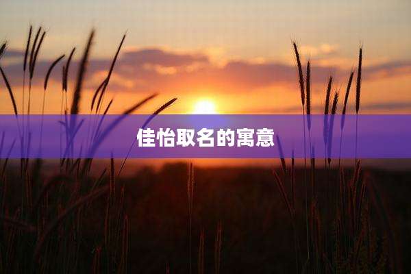 佳怡取名的寓意