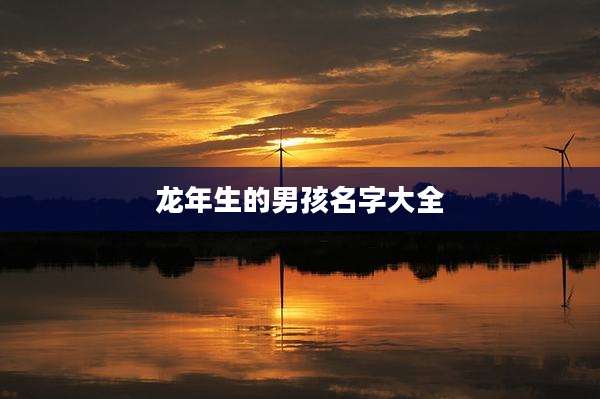 龙年生的男孩名字大全