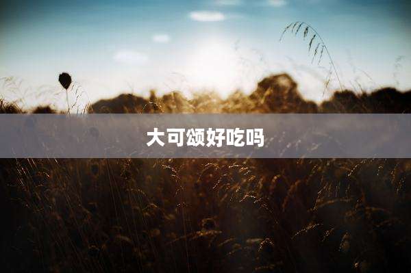 大可颂好吃吗
