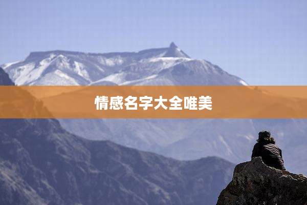 情感名字大全唯美