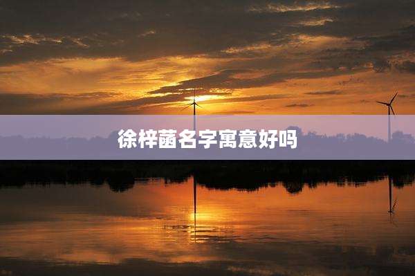 徐梓菡名字寓意好吗