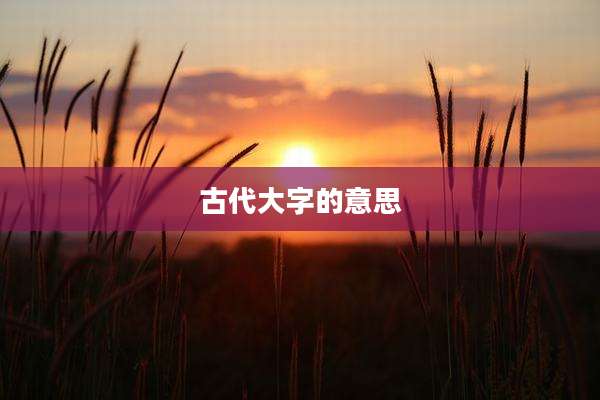 古代大字的意思
